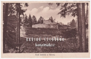 SEZIMOVO ÚSTÍ, Zřícenina hradu KOZÍ HRÁDEK