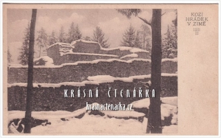 SEZIMOVO ÚSTÍ, Zřícenina hradu KOZÍ HRÁDEK