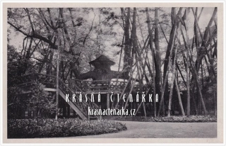 KAMENICE NAD LIPOU, Památná lípa