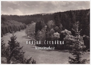 SENOŽATY, Údolí Jankovského potoka