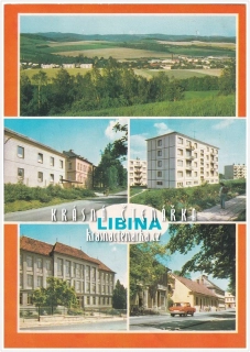 LIBINA