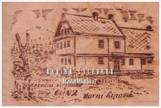 LIPOVÁ-LÁZNĚ, Rekreační středisko OÚNZ (dřevěná pohlednice)