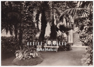 Zámek LEDNICE, Palmový skleník