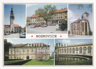 BOSKOVICE