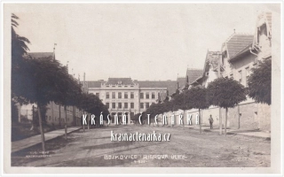BOSKOVICE, Riegrova ulice