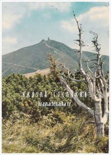 KRKONOŠE - Hora SNĚŽKA