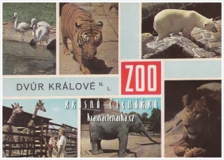 DVŮR KRÁLOVÉ NAD LABEM, Zoologická zahrada