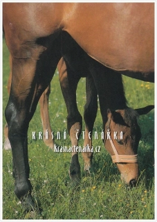KŮŇ