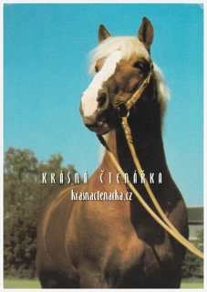 Kůň CHLADNOKREVNÍK