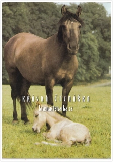 Kůň TARPAN