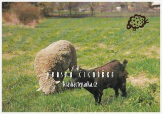 Velikonoční OVCE a KOZA