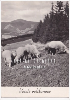 Velikonoční OVCE v Krkonoších
