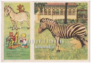 Sovětská ZEBRA