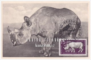 NOSOROŽEC, Poštovní známka Tierpark Berlin