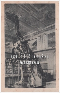 DINOSAURUS, Přídorovědecké muzeum Vídeň