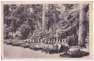 NOVÝ BOR, Lesní hřbitov