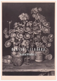 Robert Knaus: GERANIEN, reprodukce obrazu