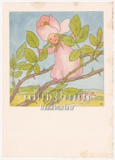 Ilustrovaná pohlednice: IDA BOHATTA-MORPURGO