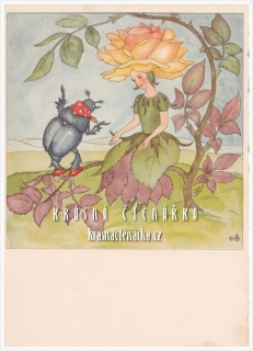 Ilustrovaná pohlednice: IDA BOHATTA-MORPURGO