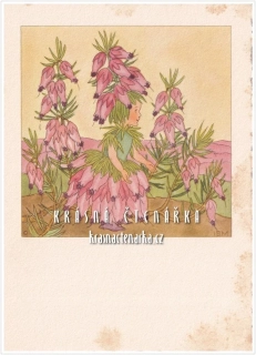 Ilustrovaná pohlednice: IDA BOHATTA-MORPURGO