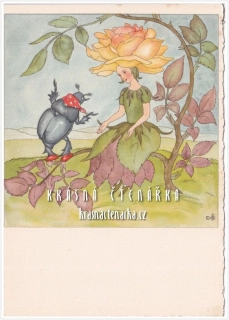 Ilustrovaná pohlednice: IDA BOHATTA-MORPURGO