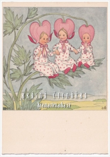 Ilustrovaná pohlednice: IDA BOHATTA-MORPURGO