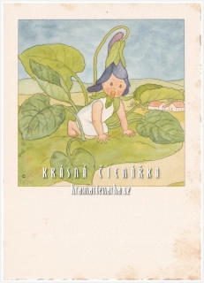 Ilustrovaná pohlednice: IDA BOHATTA-MORPURGO