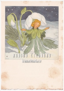 Ilustrovaná pohlednice: IDA BOHATTA-MORPURGO