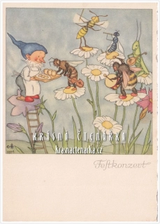 Ilustrovaná pohlednice: IDA BOHATTA-MORPURGO