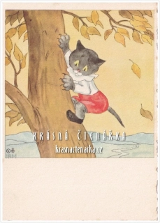 Ilustrovaná pohlednice: IDA BOHATTA-MORPURGO