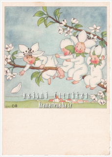 Ilustrovaná pohlednice: IDA BOHATTA-MORPURGO