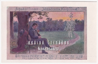 SCHUBERTLIEDER: Wandrers Nachtlied