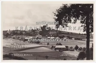 HAVLÍČKOVA BOROVÁ