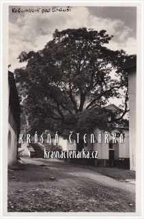 LUŽE - KOŠUMBERK