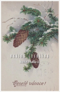 VÁNOČNÍ a NOVOROČNÍ pohlednice