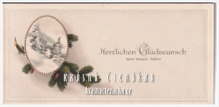 VÁNOČNÍ a NOVOROČNÍ jmenovka