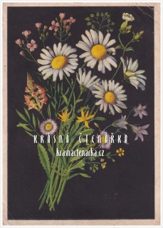 BLAHOPŘÁNÍ květinové, KOPRETINY