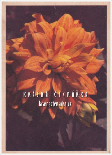 BLAHOPŘÁNÍ květinové