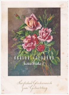 BLAHOPŘÁNÍ květinové, RŮŽE