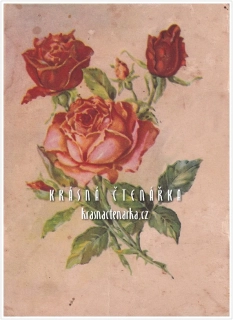 BLAHOPŘÁNÍ květinové, RŮŽE