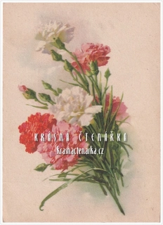 BLAHOPŘÁNÍ květinové, KARAFIÁT
