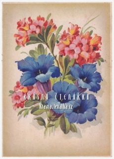 BLAHOPŘÁNÍ květinové, ZVONKY