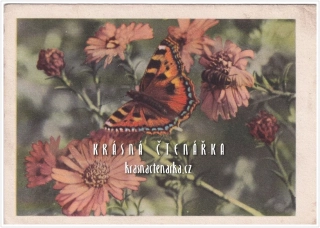 BLAHOPŘÁNÍ květinové s motýlem