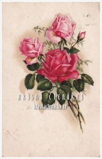 BLAHOPŘÁNÍ květinové, RŮŽE