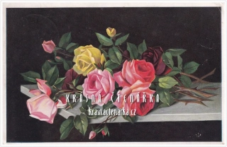 BLAHOPŘÁNÍ květinové, RŮŽE (Charitativní pohlednice Vincentium)