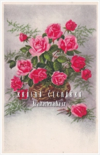 BLAHOPŘÁNÍ květinové, RŮŽE