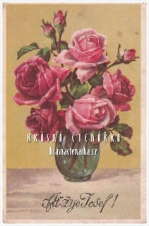 BLAHOPŘÁNÍ květinové, RŮŽE