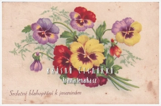 BLAHOPŘÁNÍ květinové, MACEŠKY