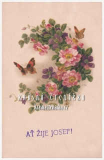 BLAHOPŘÁNÍ květinové, ŠÍPKOVÁ RŮŽE