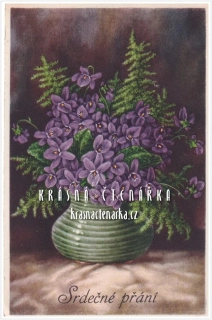 BLAHOPŘÁNÍ květinové, FIALKY